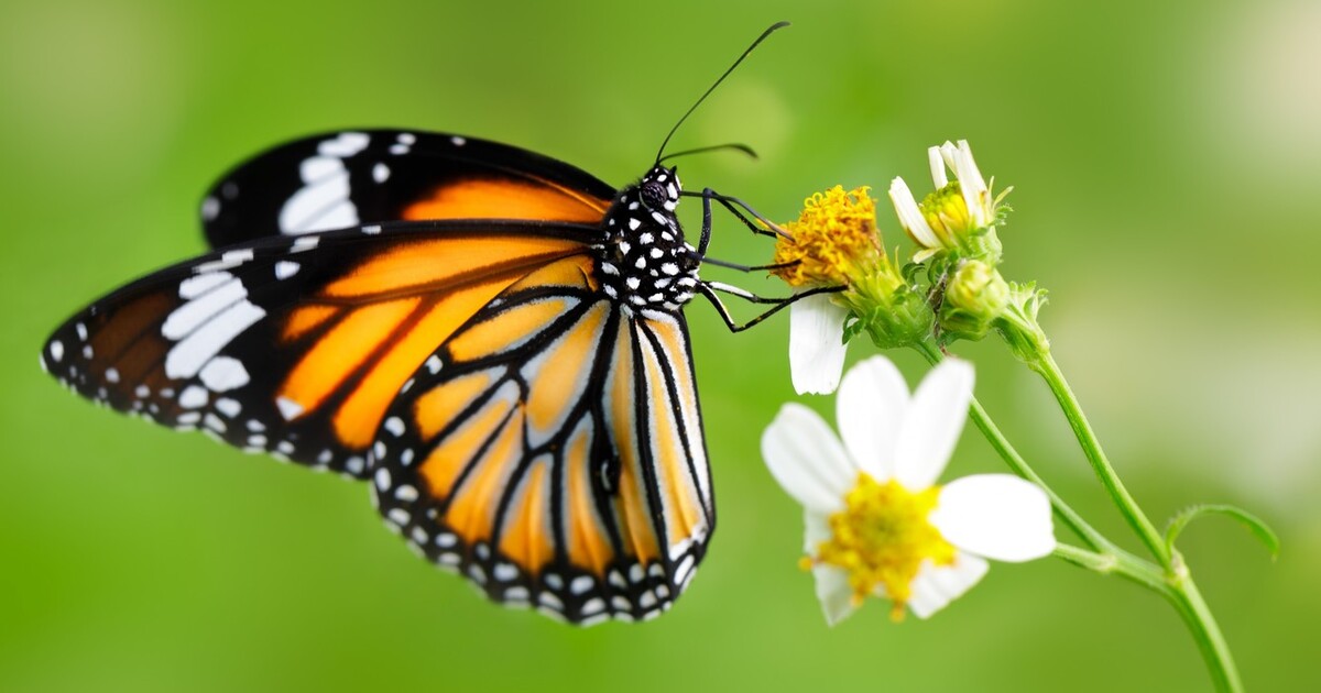 353eb4771b8adf990863a1fd4fc0dd5e7b607343