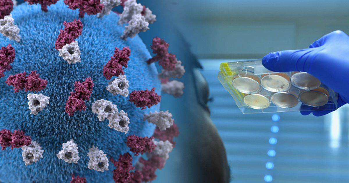 d43aa2415f7ec26874080f4b67f4f4756a1e46be