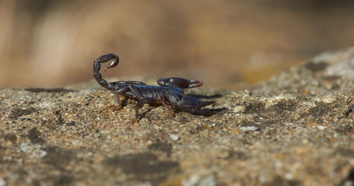 2e384d92f8a951c026bfd65e72c9e1bae6d61faa