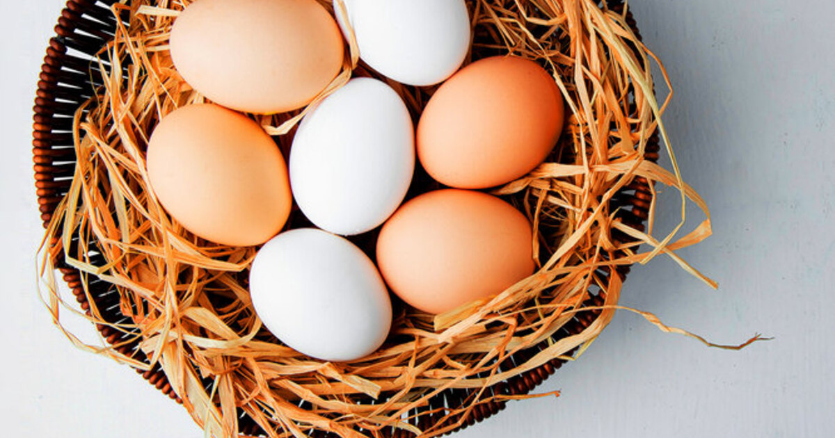 b1d4b8d3c124263e7658678bf10c42845bff0864