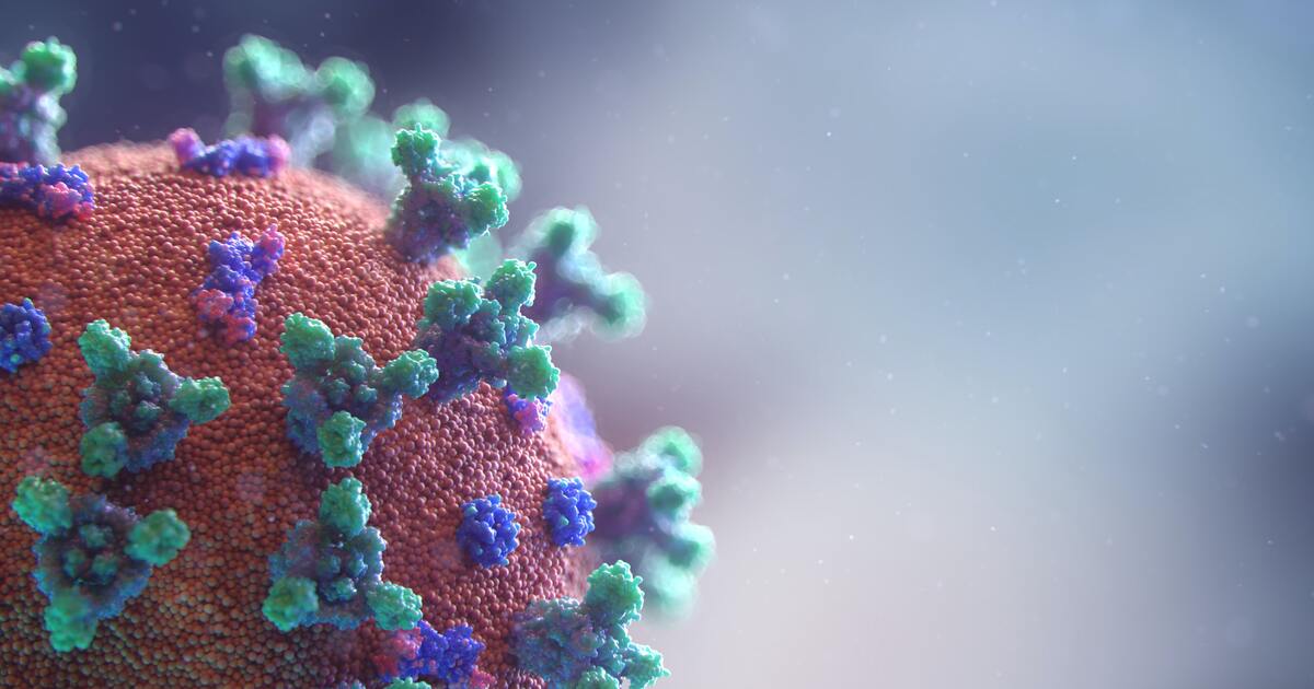 ba98ceed3b5db23503f943bc21c6d9852b663b8b