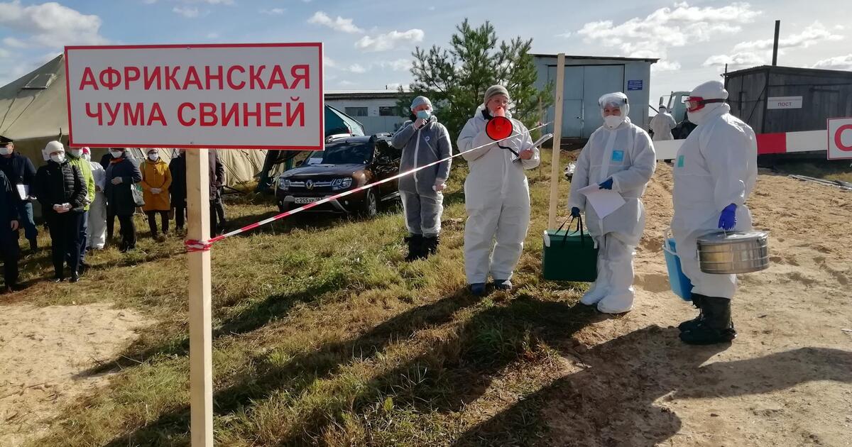 f22ae3e6e82e28df1ce3f2cc0f5e012c22a57b4e