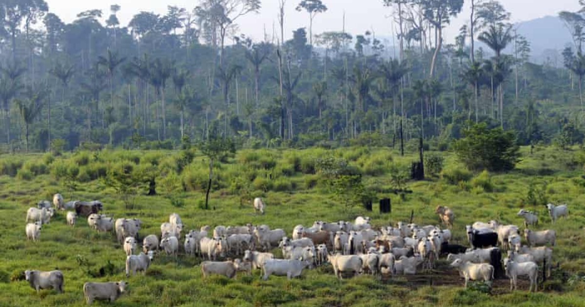 110d80b2918adc6b0b5051dd340ecf7b50c29612