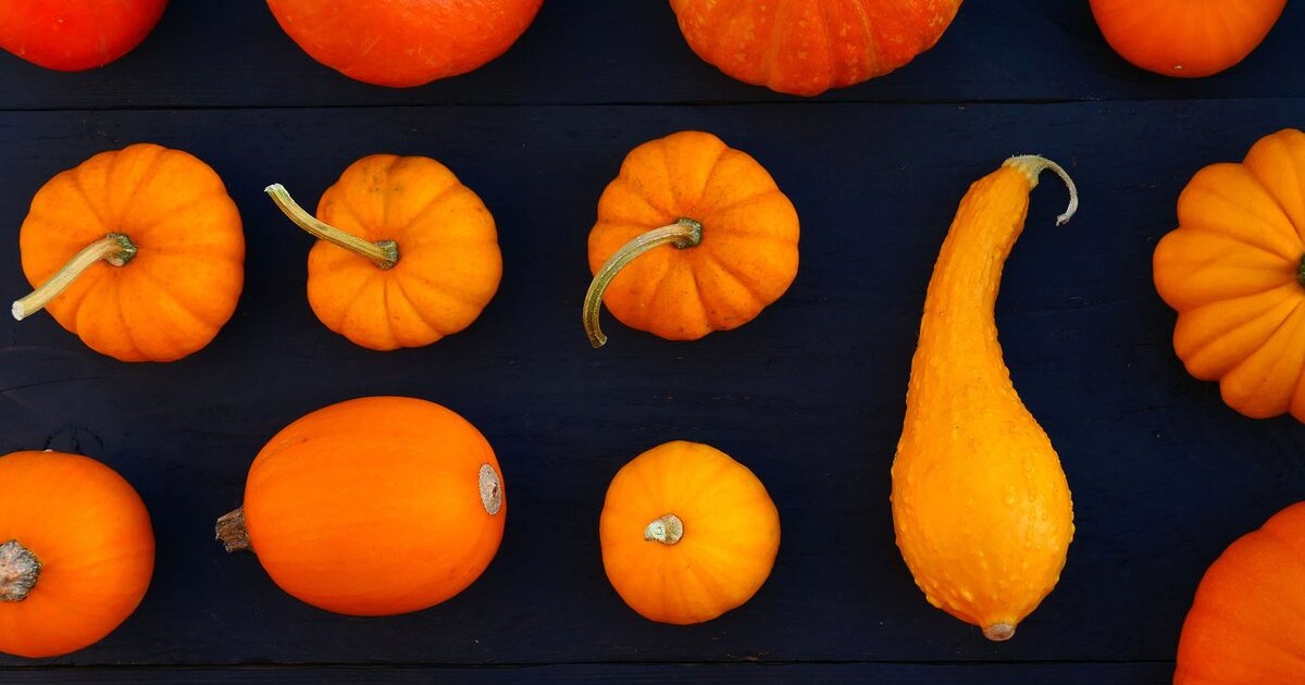 7388957a7272b50ab419cac5b1304f9cde7c5852