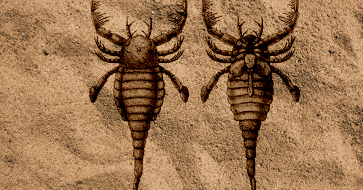 2b2024fd5f4b1efa50a9abc68e6016d58846fd8e