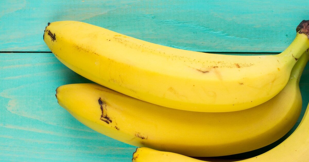 13f84418114109f99514af91fab31333af1ff8c2