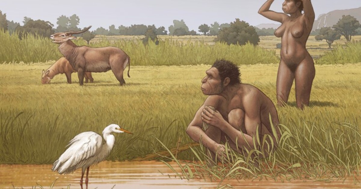 4d5920273c72c0692bd6d8143dc6b0aa0b95b2bd