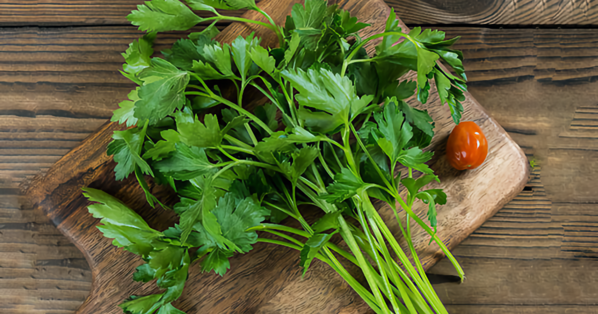 664b316fb7ee0fdf7b2dc7c21dc9003204652a7a