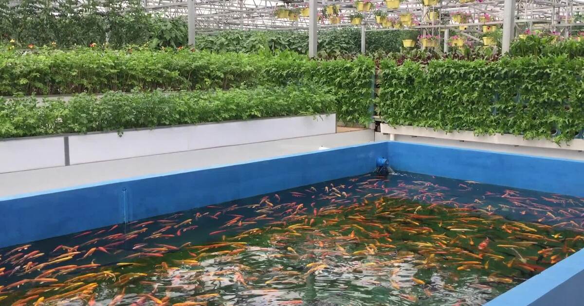 21b8a5b1136fee5a6fe77bd4742c5dc6b9775651