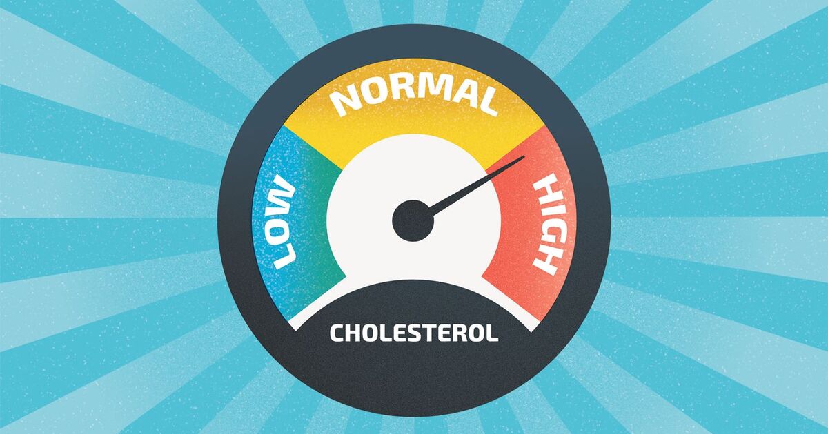 d54d0260c41a186688372c10a49b59374c25900d