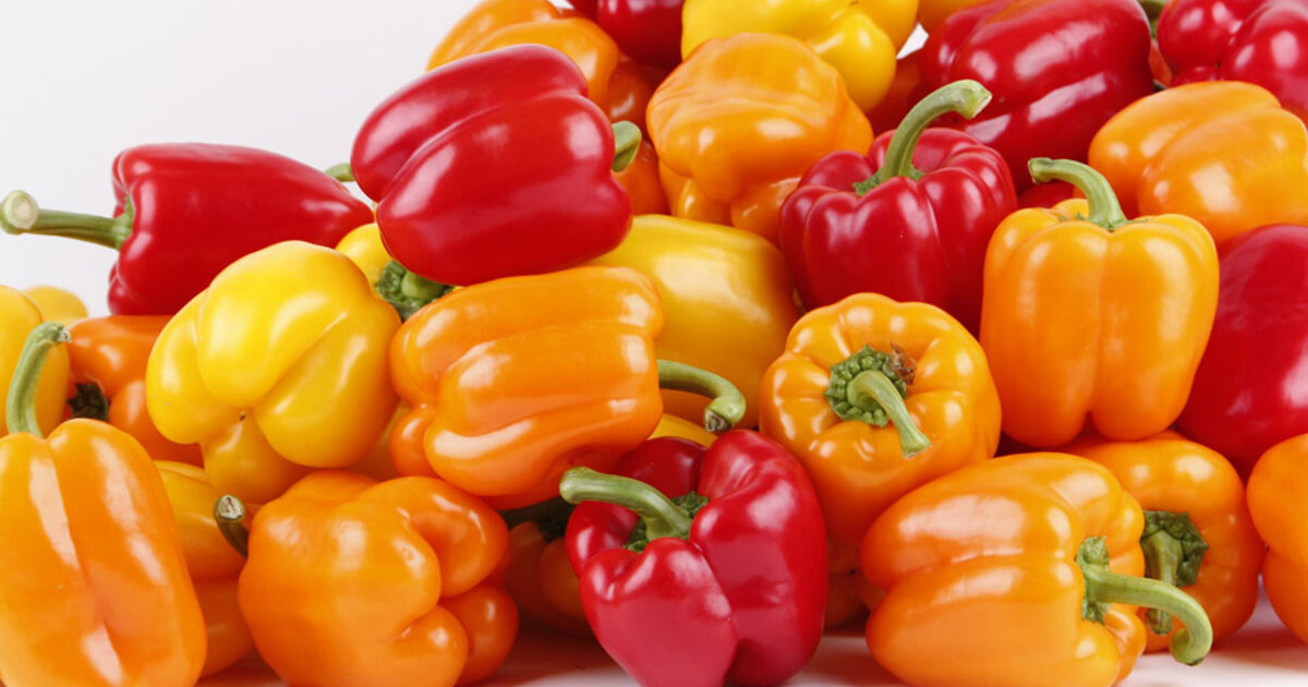 6051e6f1ad97d2173848527d0566981e9ec124a6