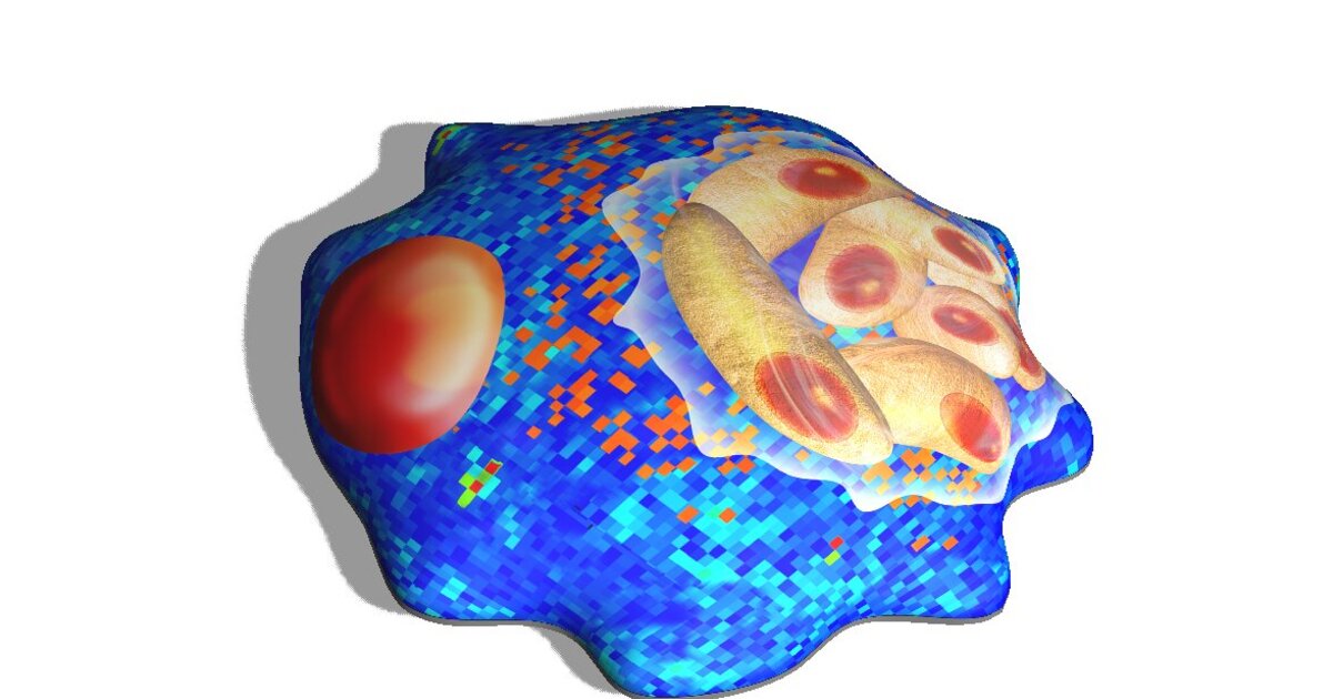 510044fc63a34cca55cd6ed0e72a5503d3be1bf2