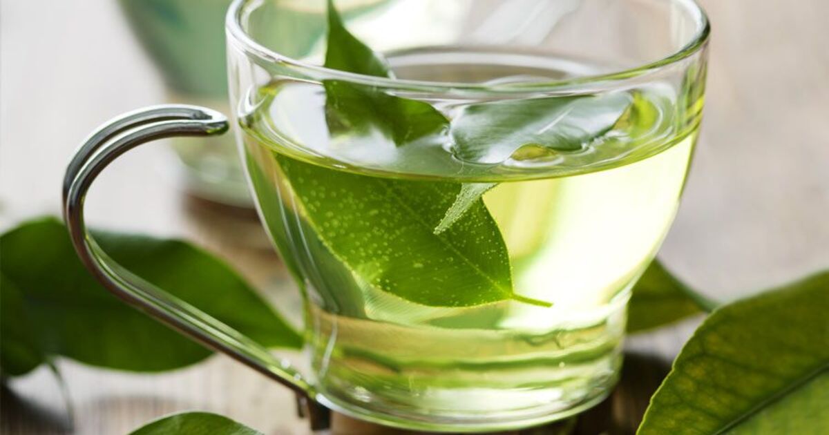 6b2f5f1b0b5c744a5a7b0969b19853e8f5d40365