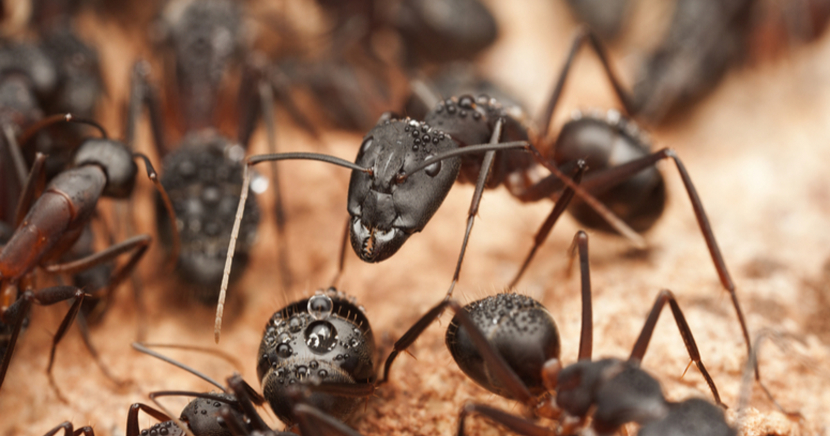 385829ad09469d00e1bc8a2a8e40560079cb370f