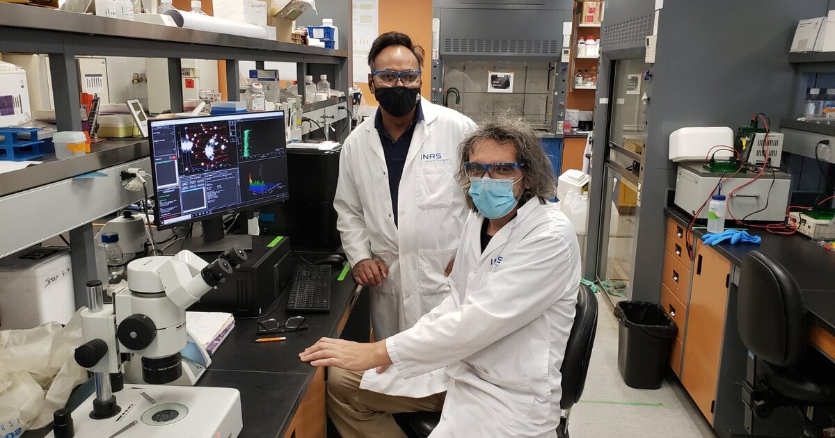 533cf87320c6f0c483952ce75f977875f330066b