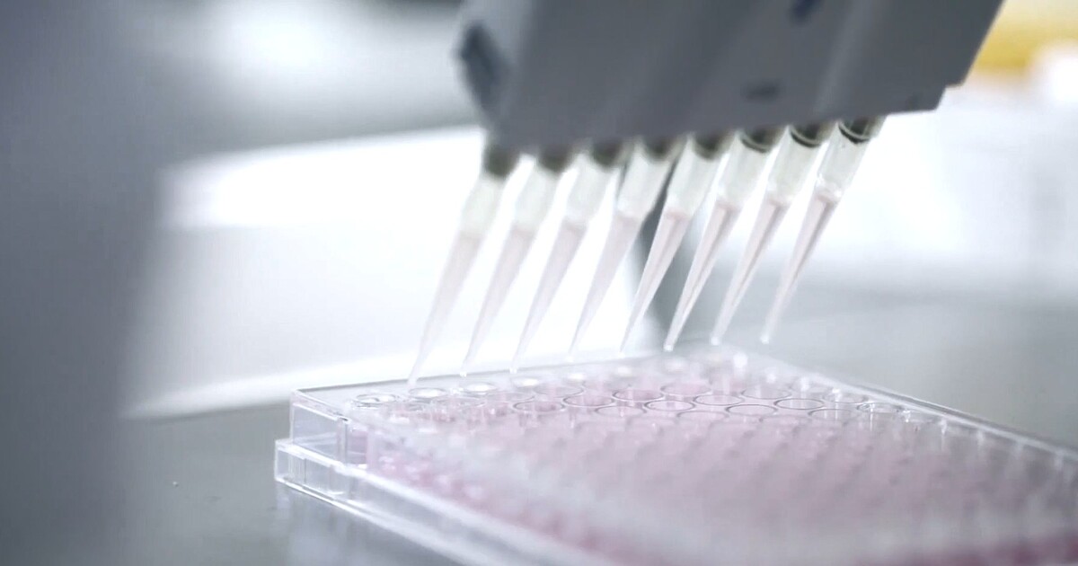 c57833af514833c8df2be09b341719675ed6657e