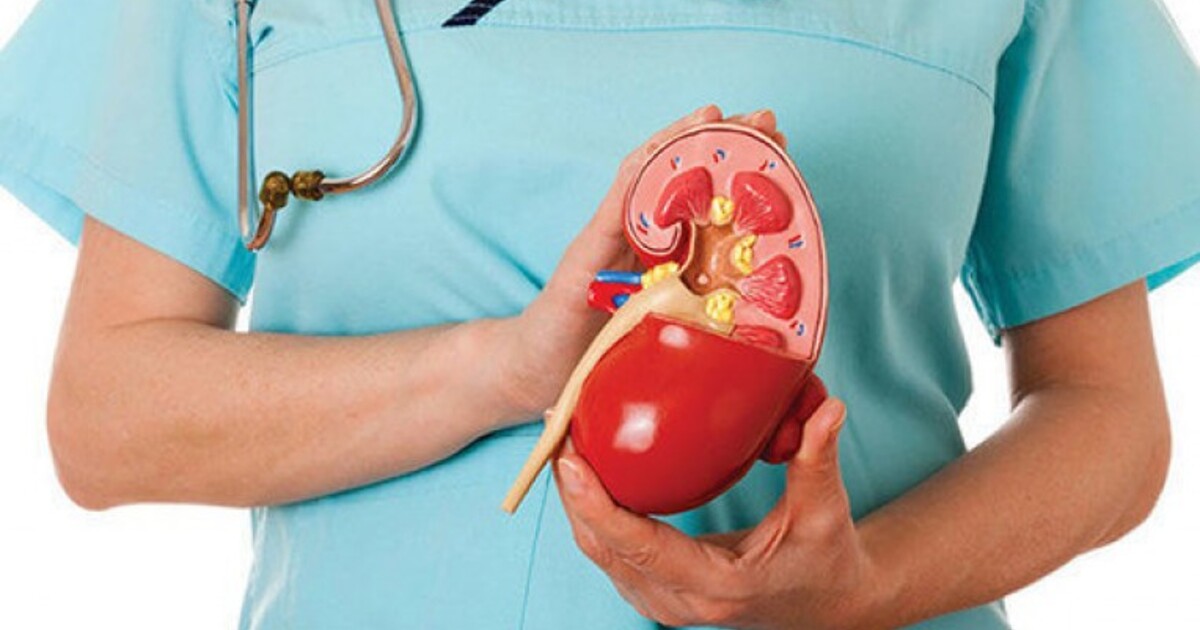 51e31b0db1c4e58c589e26f7b7450f26a6883f6b