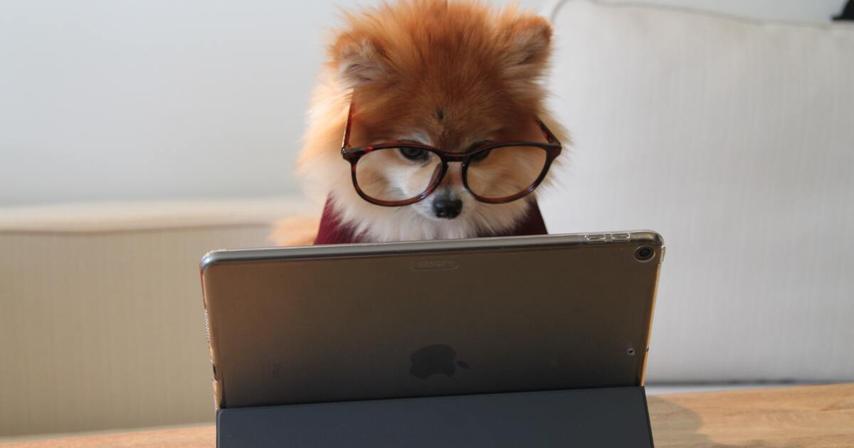 fb94f9c2db10f9ae2c2638dfee3cecf6fda536c2