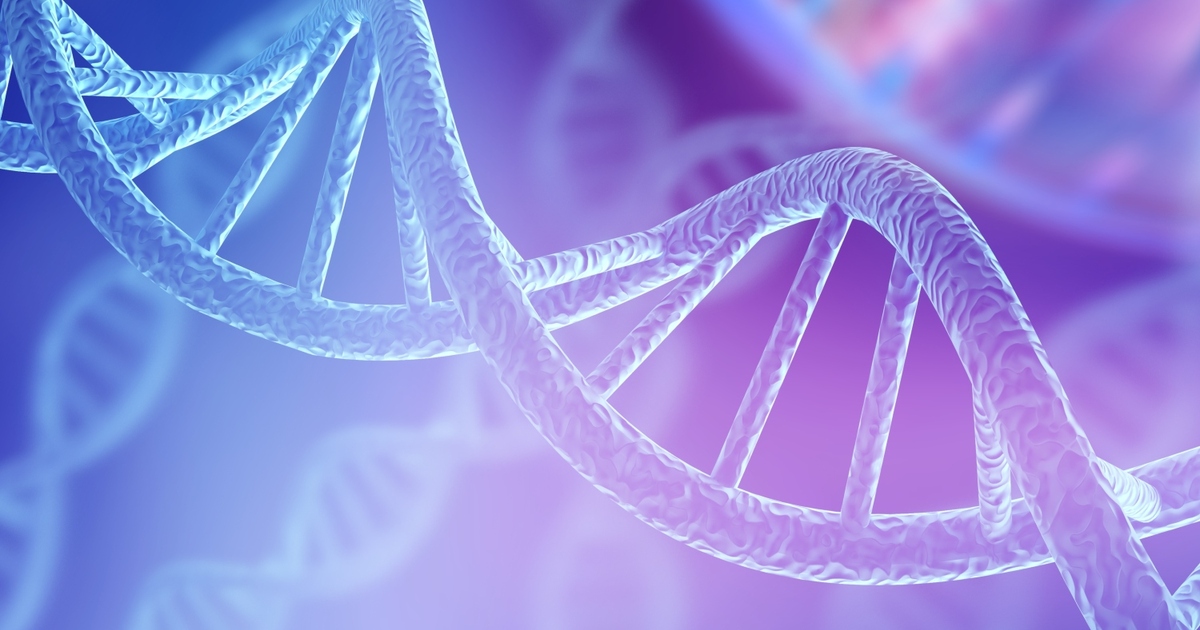 0e0bd8b48b2584d10a30832b416d0e0255d4fa11