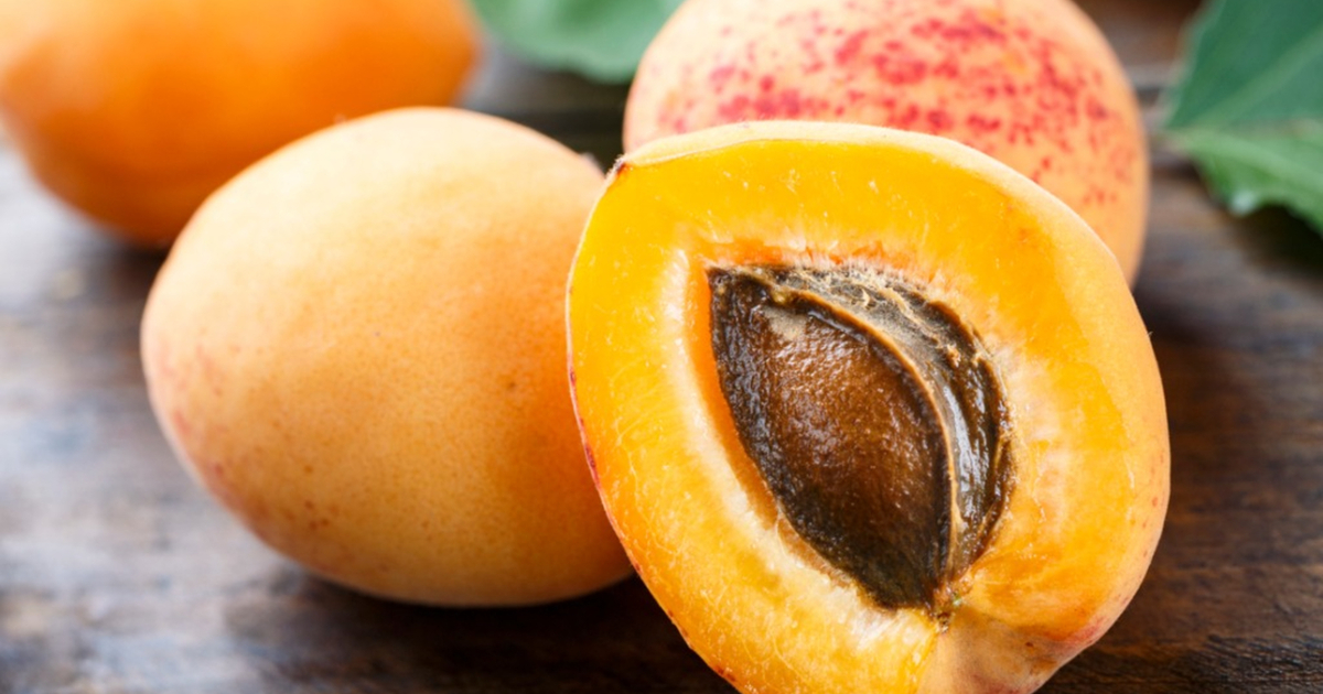 f54031c00faca41df6721fc118ea0e3df8c53e6f