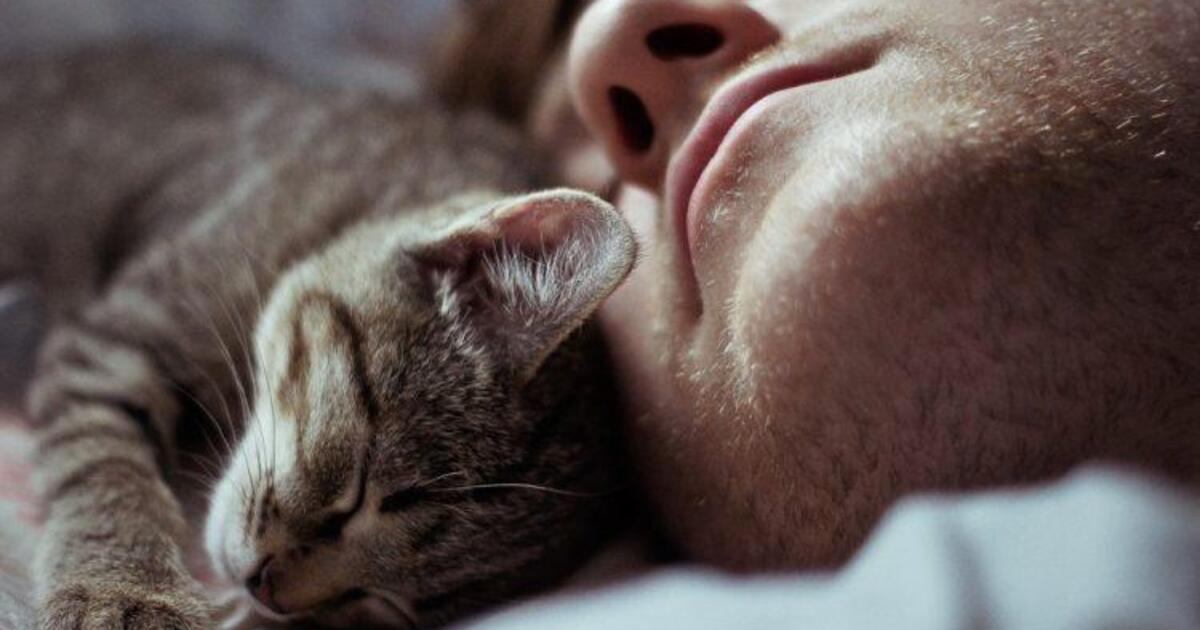 5cc2ae13789b8225bfe9f3563dcc0895f5cb7bba