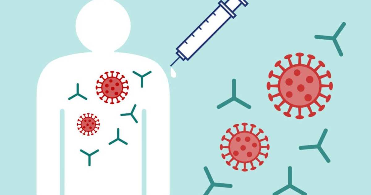 86dbf7d5e395c2d0e6560d0b6fbbd9f708d172bc