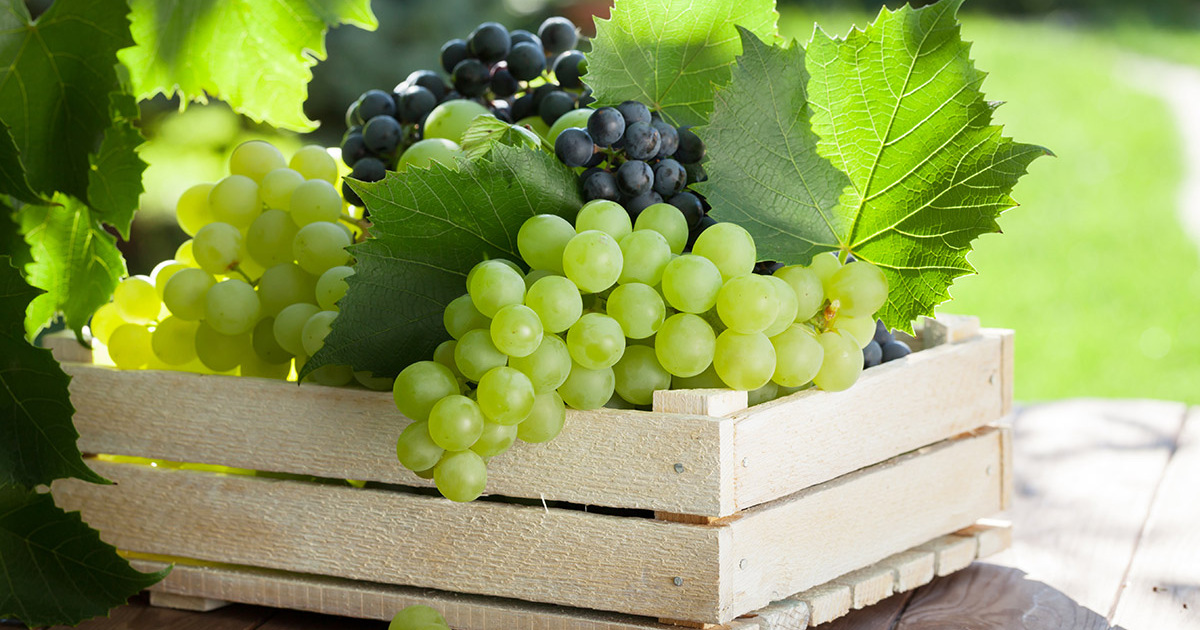 8525ca585389264dba19d2a4f88afb3dfbf3b978