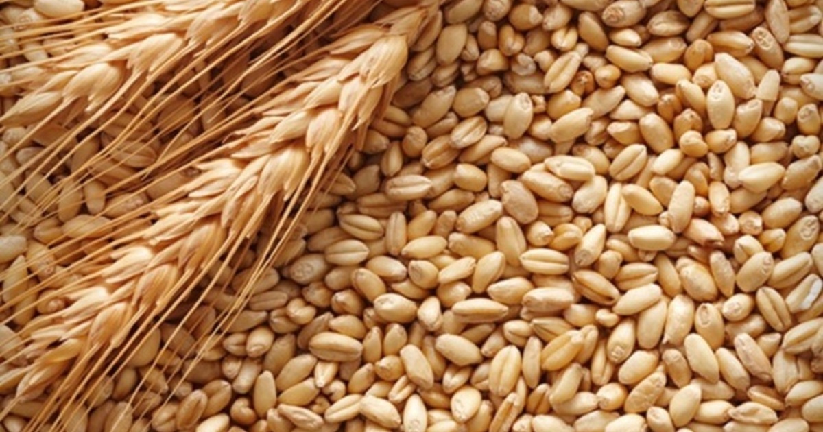 e16a0e282f5b1826e92af833f80079ca51e8fe46