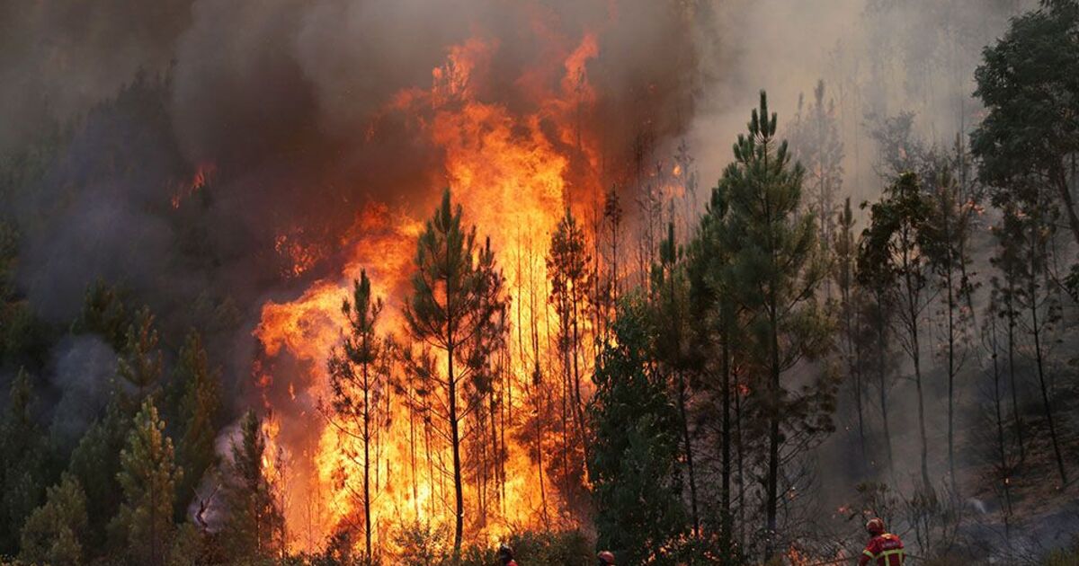 31067b2245e3c1aed77a928cfad096c40157ef36