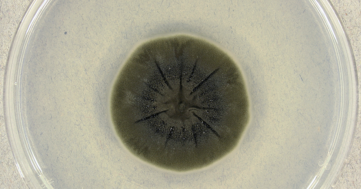 c74e379671f6c2a85c59d3f580ac0352b1d134fc