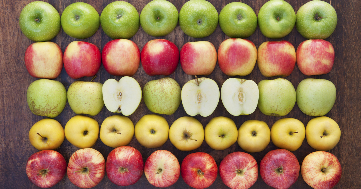 1ca536d9413eedcb8e11f92d2d0fc7b0bf074ac5