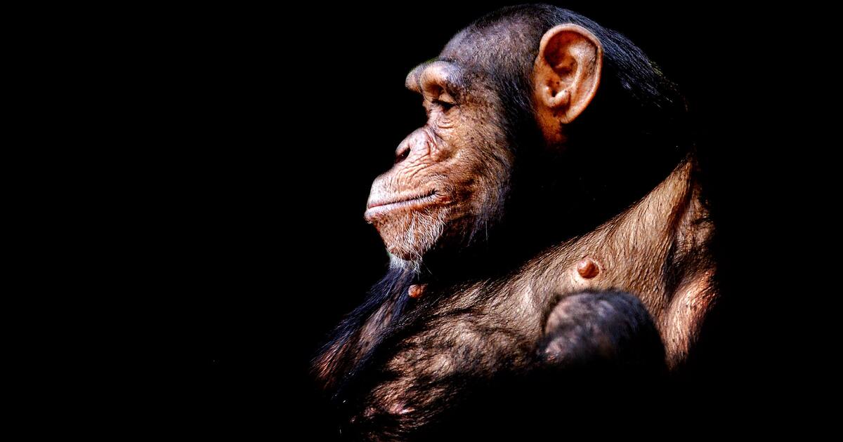 691a89cb2c289c6c2f33fa1ea58f5c1013af2d7c