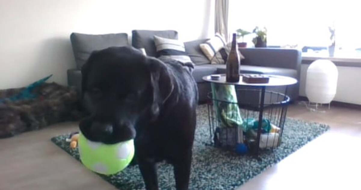 ea830f29566ca6b14687d37ceb4ce8e85c67abbc