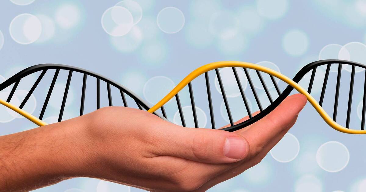 8fde76f844ce1b77b5401d689f4b80efa2eab932