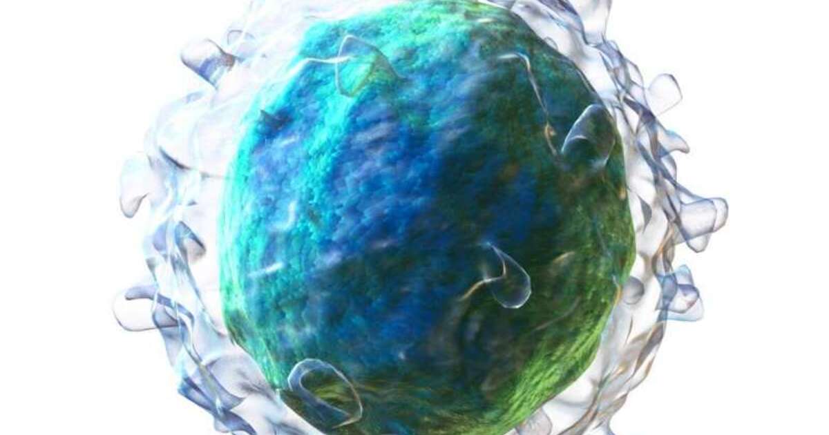 bf1965ab465582164798ce0827de42367366db6f