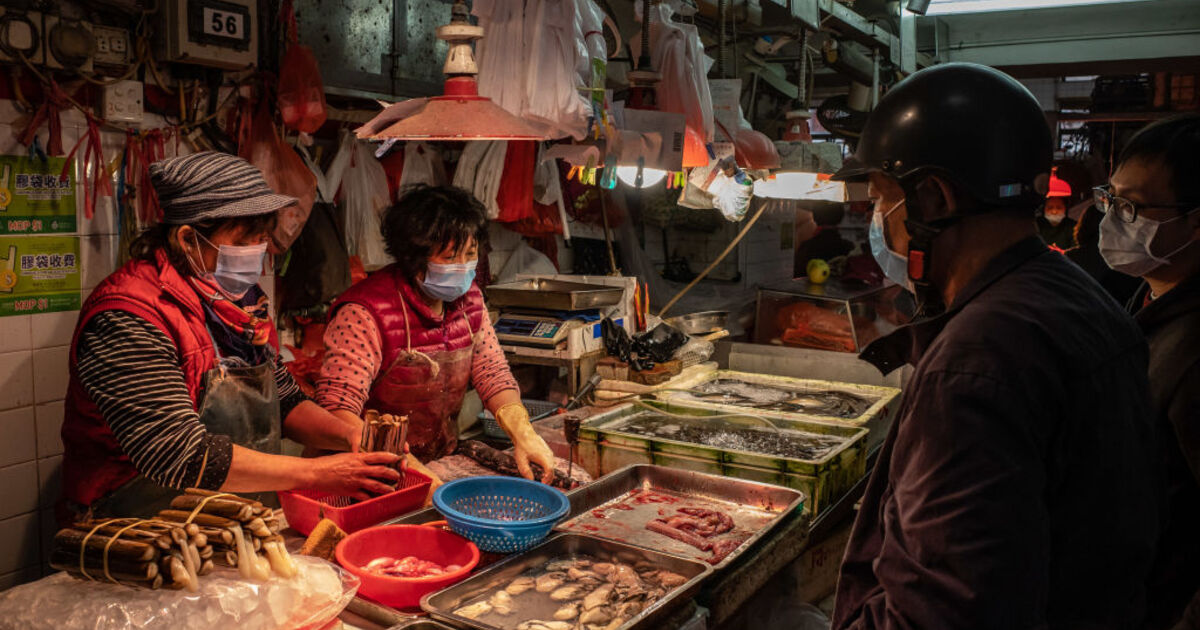 cf0a41aa706149de2b298e884dc86b8359af3aff