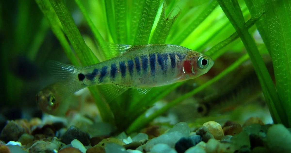 2b73d149d2ef079ee25f8b27ddbd3e8bcba89184