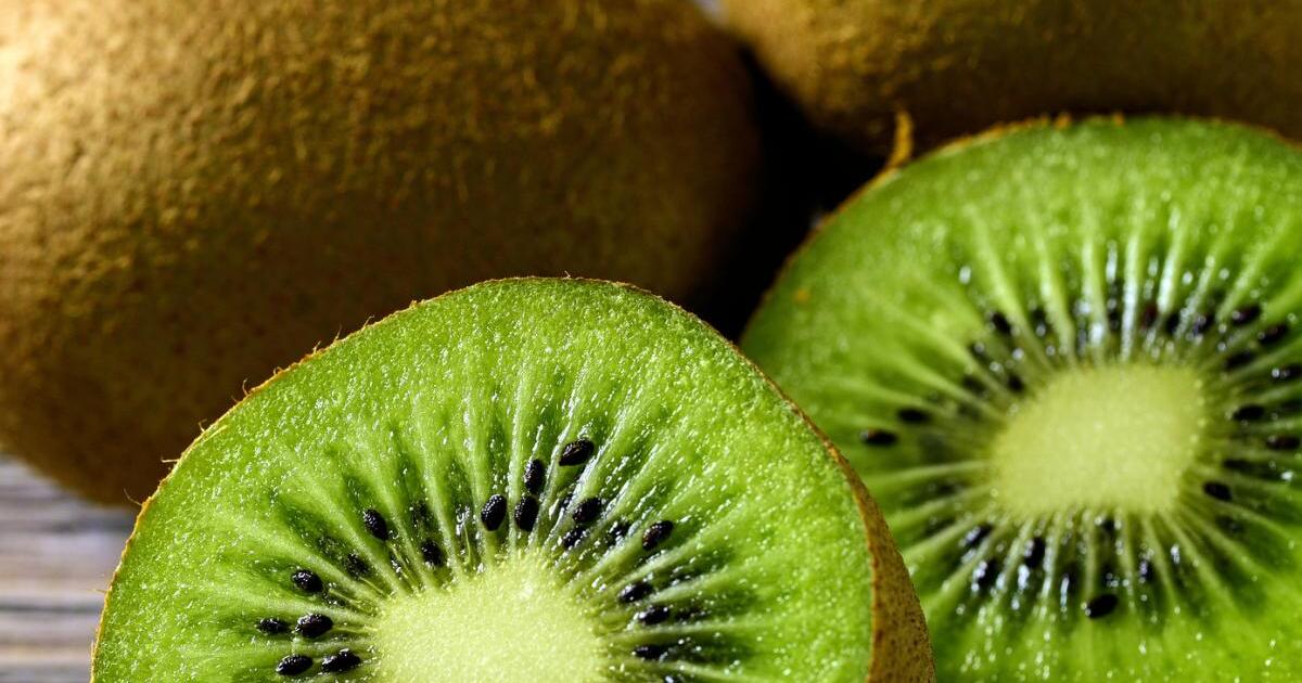 cf8844f823e42ea2b2a2ce83a4ca823b48588fa6