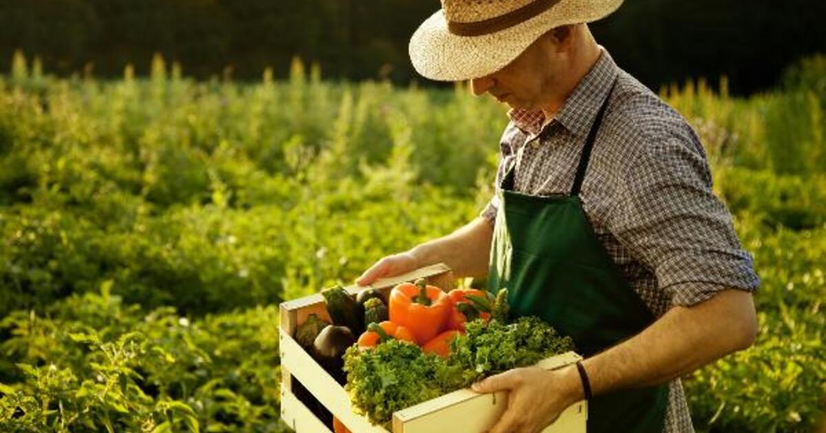 eed1c19471cf1c4672391b042ccbaf1c98962317