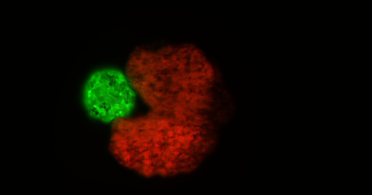 3c61bad521bf6dc7f69eb7f4de09abca7e968247