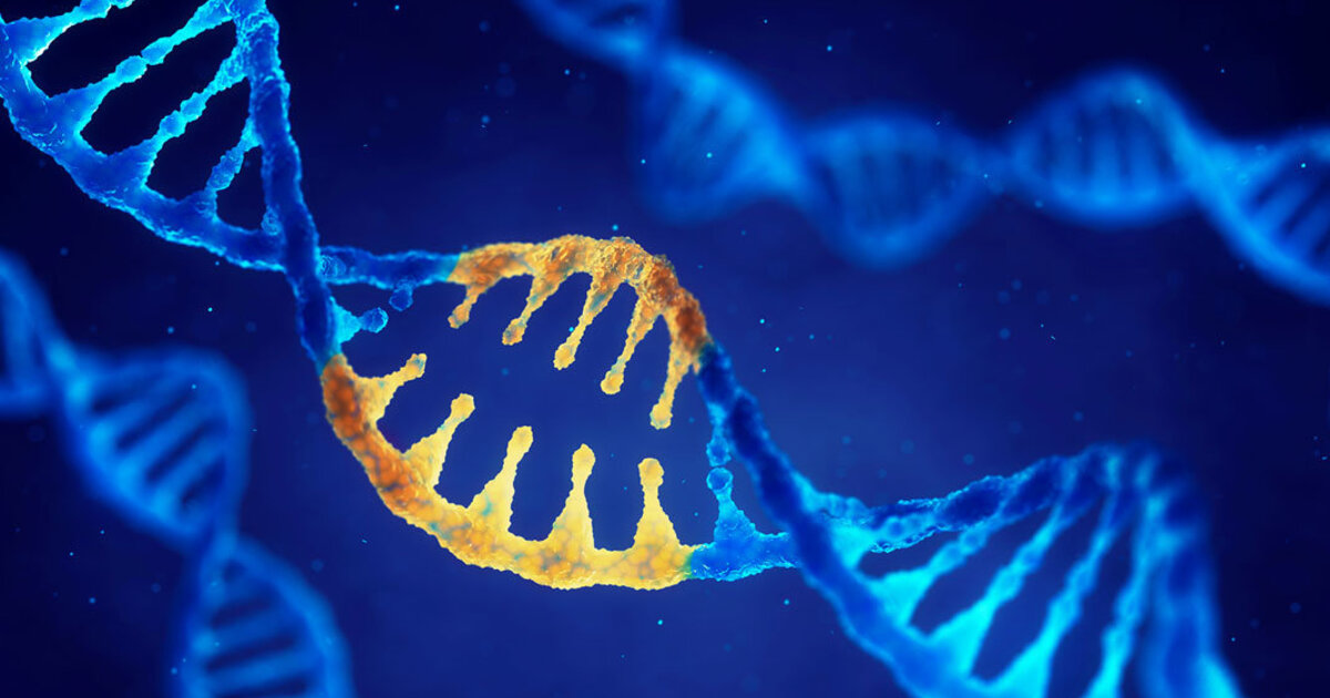 5f78bb21a5f988809d4ba363c85a3124efa2ef85