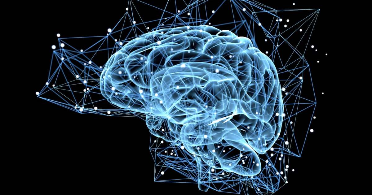 Благодаря каким нейронам в мозге человек успешно взаимодействует с окружающими