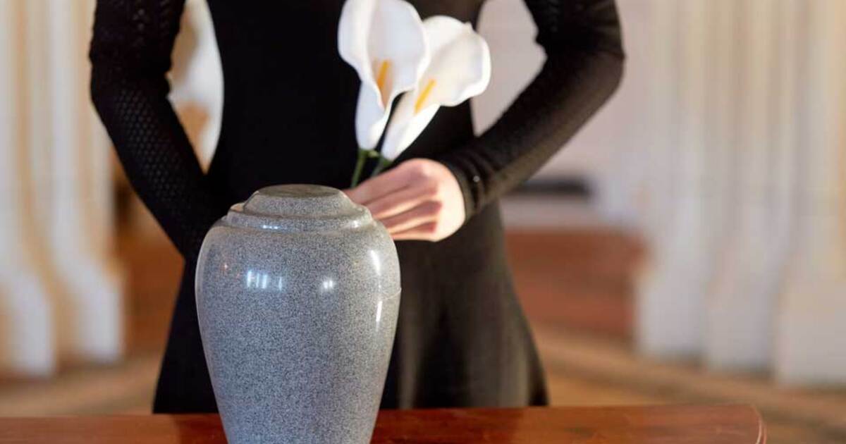 d8101236f6d386659f7e1b27670e443b8cfeb274