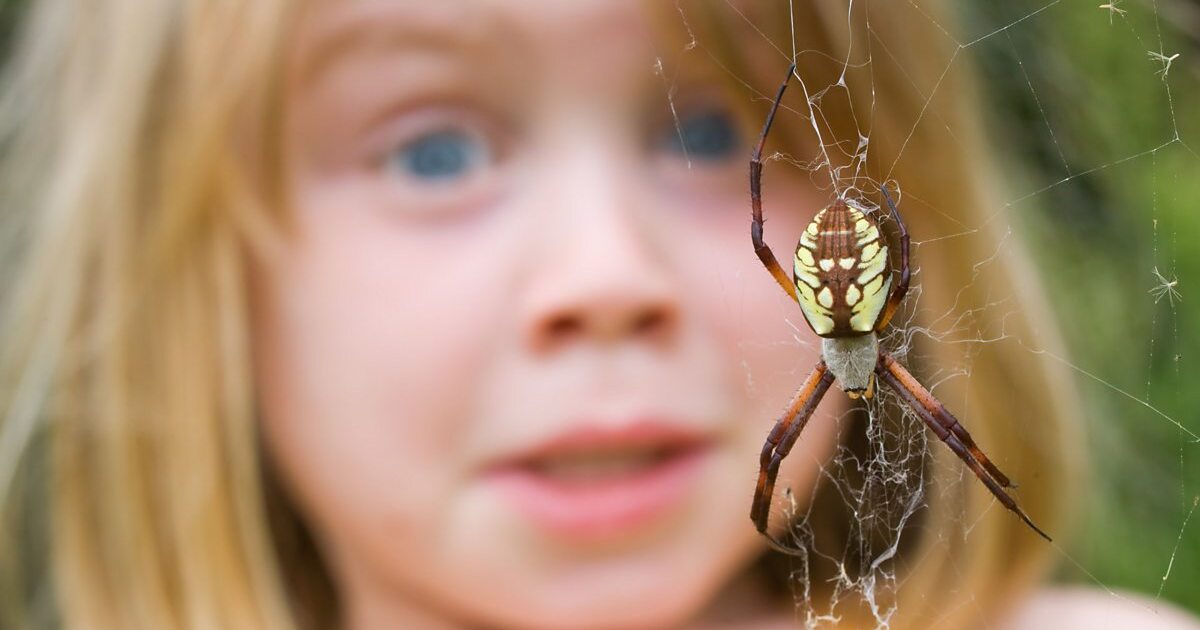 1c456d21a13d8bba3bfadb1f119480fb03506aa4