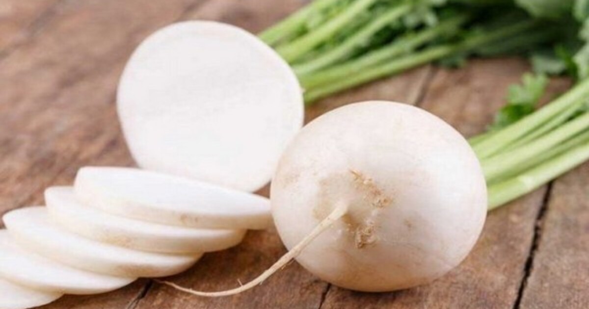 Чем полезна редька — Ferra.ru