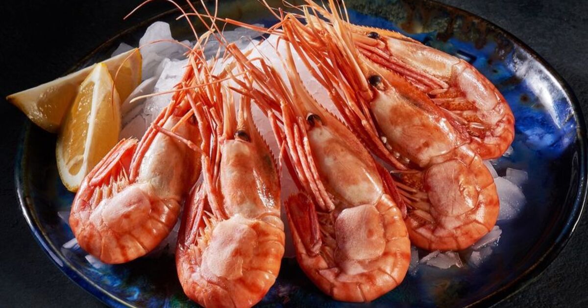 8e7e6fb0bfcb4cb9d701f4cb37bc166035991618