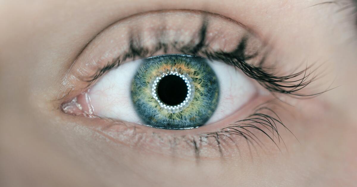 a497c683cae8b956de8d9bd3ae12b2227a6a586f