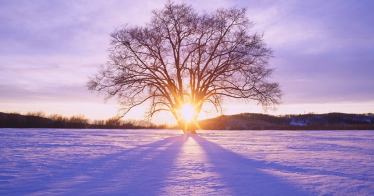 9c3a8bc66eff6c4553169e2b31b0b01260d95f28