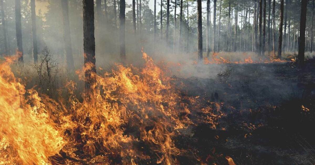 4c8b2c773d43e7cc83e2dab42ddb61833036dd71