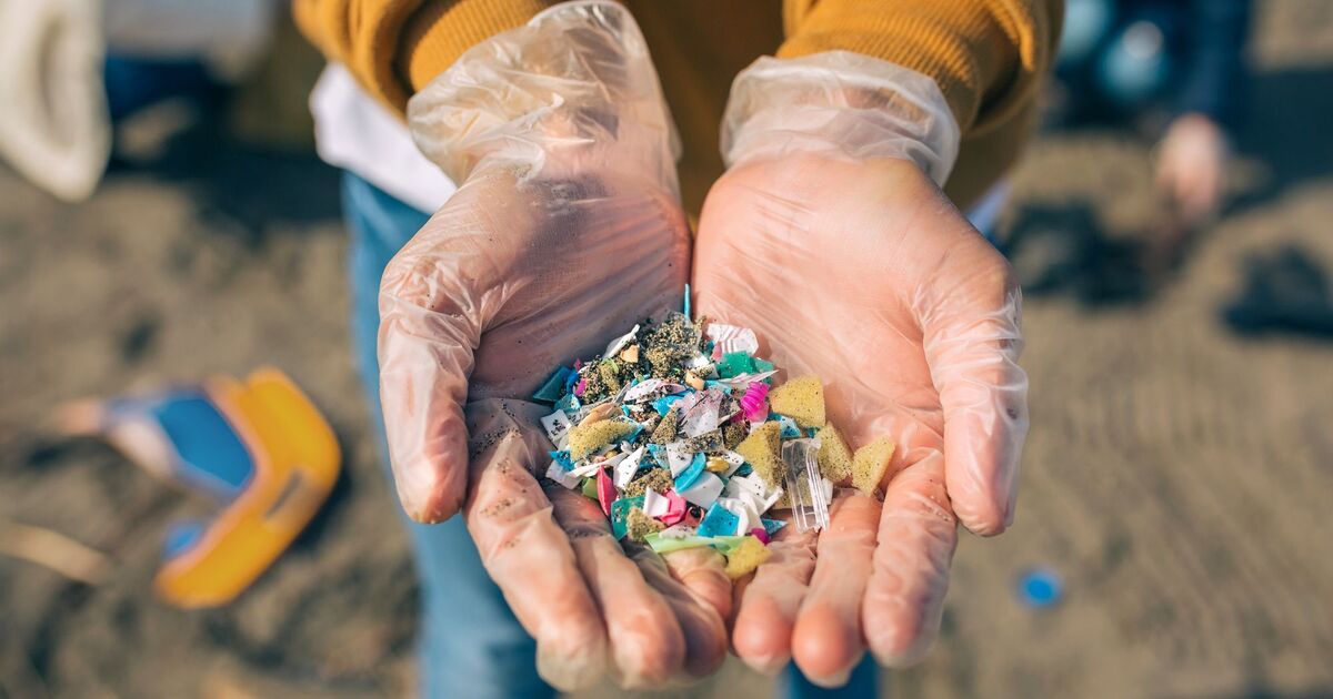 3ede00876a5bbcea1eda2d6a947fecb13b8a1b16